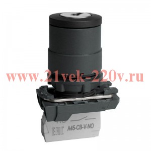 Переключатель OptiSignal D22 C5-SK-21 с ключем 2 поз пластик 1НО XB5AG21 КЭАЗ 332184