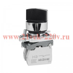 Переключатель OptiSignal D22 C4-S-25 2 положения металл 1НО+1НЗ XB4BD25 КЭАЗ 332171