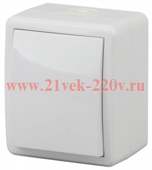 Переключатель IP54 10АХ-250В открытой установки Эра Эксперт, белый 11-1403-01