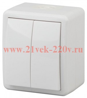 Выключатель двойной IP54 10АХ-250В открытой установки Эра Эксперт, белый 11-1404-01