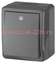 Выключатель с подсветкой IP54 10АХ-250В открытой установки Эра Эксперт, серый 11-1402-03