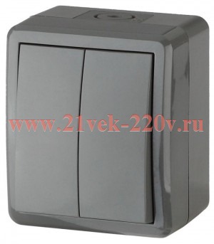 Выключатель двойной IP54 10АХ-250В открытой установки Эра Эксперт, серый 11-1404-03