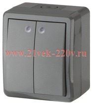 Выключатель двойной с подсветкой IP54 10АХ-250В открытой установки Эра Эксперт, серый 11-1405-03