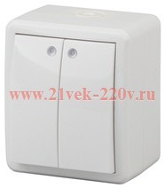 Выключатель двойной с подсветкой IP54 10АХ-250В открытой установки Эра Эксперт, белый 11-1405-01