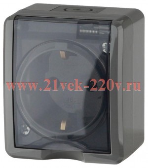 Розетка 2P+E IP54 16A-250В открытой установки Эра Эксперт, серый 11-2401-03