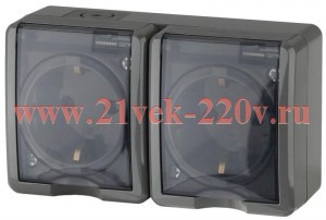 Розетка 2х2P+E IP54 16A-250В открытой установки Эра Эксперт, серый 11-2403-03