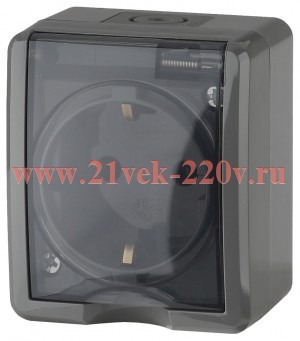 Розетка 2P+E IP54 шторки 16A-250В открытой установки Эра Эксперт, серый 11-2402-03