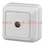 Розетка TV одиночная IP20 ОУ Intro Quadro, белый 2-301-01 (5056183702663)