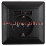 Розетка 2P+E Schuko со шторками 16А-250В + 2хUSB Intro Solo, антрацит 4-410-05