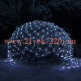 ЭРА ERASS024-15 Сеть 150 LED на солнечной батарее холодный свет 2м*1,35м