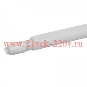 Лампа светодиодная ЭРА RED LINE LED T8-10W-865-G13-600mm R трубка холодный свет (5056396239802)