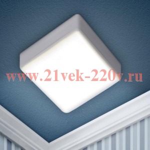 Светильник светодиодный LED 16-18-4K 18Вт 4000К накладной квадратный Эра Б0054338