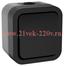 Переключатель 1-клавишный 10А IP55 TORS TS101 IEK графит