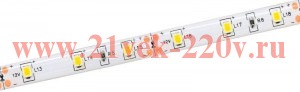 Лента LED 3м LSR-2835W60-4,8-IP65-12В IEK холодный белый