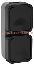 Розетка двойная 2х2П+3 с крышкой и шторками вертикальная 16А IP55 TS132 TORS IEK графит