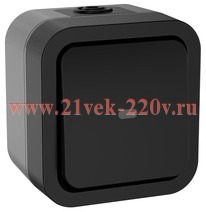 Переключатель 1-клавишный с индикацией 10А IP55 TORS TS102 IEK графит