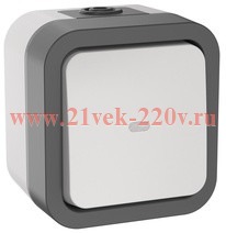 Переключатель 1-клавишный с индикацией 10А IP55 TS202 TORS IEK белый