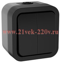 Выключатель 2-клавишный 10А IP55 TS105 TORS IEK графит