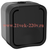 Розетка 2П+3 с крышкой и шторками 16А IP55 TS120 TORS IEK графит