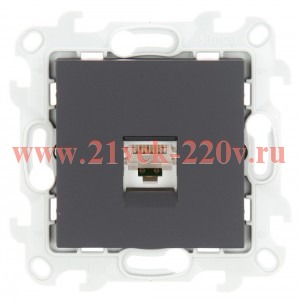 Розетка компьютерная RJ45 кат 5e UTP Simon 24 Harmonie, графит