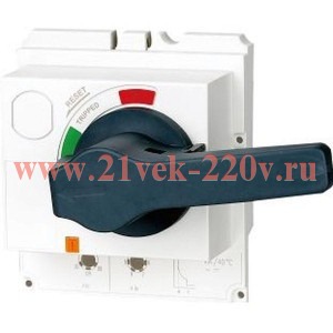 Привод поворотный ручной DRH21-M8 для NM8N-125 ТМ (R) CHINT 269656