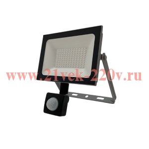 Прожектор светодиодный FL-LED Light-PAD SENSOR 100W Grey 4200К 8500Лм 235x220x55мм с датчиком FOTON