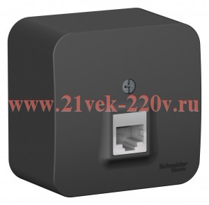 Розетка компьютерная RJ45 кат.5E Blanca Schneider Electric антрацит изол.пластина