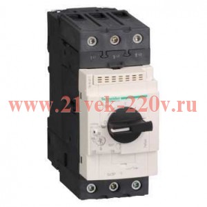 Автомат Schneider Electric TeSys GV3P с комбинированным расцепителем 40А