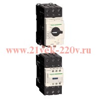 Автомат Schneider Electric TeSys GV3P с комбинированным расцепителем 65А