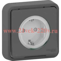 Розетка IP55 скрытой установки Mureva Styl Schneider Electric Антрацит