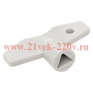 Ключ для замка треугольник для ЩМП-П IP65 PROxima EKF PB65KEY