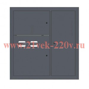 Щит этажный 2кв. RAL7016 (1000х950х150) PROxima EKF mb29-v-2-ral7016