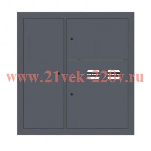 Щит этажный 2кв. слаботочка слева RAL7016 (1000х950х150) PROxima EKF mb29-v-2z-ral7016