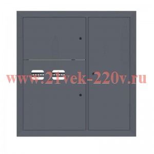 Щит этажный 2кв. RAL7024 (1000х950х150) PROxima EKF mb29-v-2-ral7024