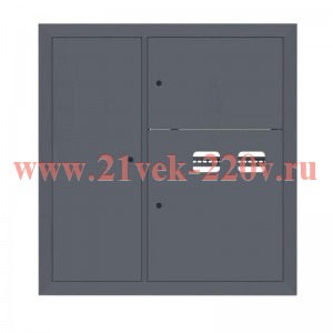 Щит этажный 2кв. слаботочка слева RAL7024 (1000х950х150) PROxima EKF mb29-v-2z-ral7024