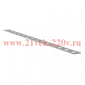 Полоса перфорированная ПП30 L2000 К202 (2мм) HDZ EKF pp302000-2-HDZ