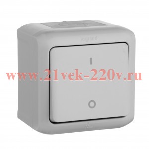 Выключатель двухполюсный IP44 Legrand Quteo серый