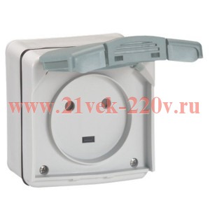 Розетка 3К+Н+З 20А 380V IP55 Legrand Plexo