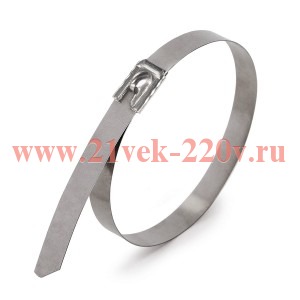 Хомут кабельный СКС X-Treme (316) 4.6х100 стальной (уп.100шт) Fortisflex 85228