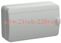 Щит накладной пластиковый КМПн-12 TEKFOR 12м серый IP65 IEK (01-03-125)