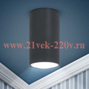 ЭРА OL15 GU10 DG Подсветка Накладные, под GU10 (40/1600)