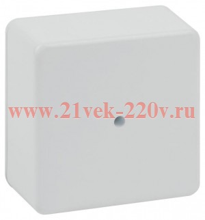 Коробка распаячная 100х100х50мм без клеммы IP40 бел. BS-W-100-100-50 Эра Б0058707