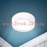 Светильник светодиодный LED 19-24-6K 24Вт 6500К накладной круглый ЭРА Б0057432