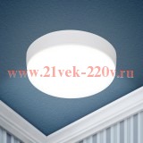 Светильник светодиодный LED 15-24-6K 24Вт 6500К накладной круглый ЭРА Б0054335