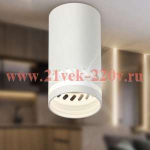 Светильник OL50 WH MR16 GU10 IP20 настенно-потолочн. спот бел. Эра Б0059802