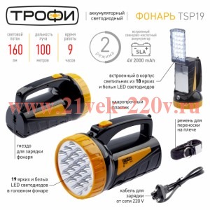 ТРОФИ TSP19 Фонарь Акку 4V2Ah, 19+18xLED, ЗУ 220V