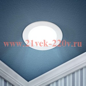 Светодиодный светильник ЭРА LED 1-12-6K 12W 220V 6500K круглый 5055398673676