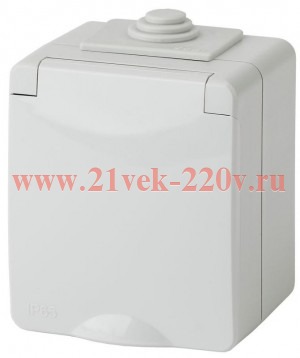 Розетка 2P+E IP65 16A-250В открытой установки серый 11-2601-03