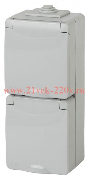 Розетка 2х2P+E вертикальная IP65 16A-250В открытой установки серый 11-2607-03