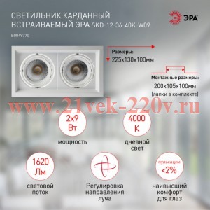 ЭРА Светильник карданный встраиваемый SKD-12-36-40K-W09 2х9Вт 4000K 1620Лм 225х130х100